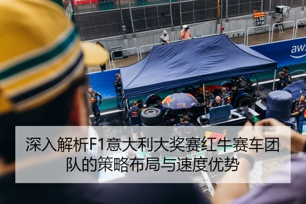 深入解析F1意大利大奖赛红牛赛车团队的策略布局与速度优势