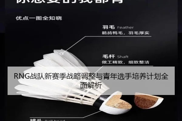 RNG战队新赛季战略调整与青年选手培养计划全面解析（ONE ENTERTAINMENT）